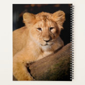 Lion Cub Planner (Achterkant)