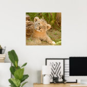 Lion Cub Poster (Thuiskantoor)
