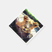 Lion Cub Servet (Hoek)