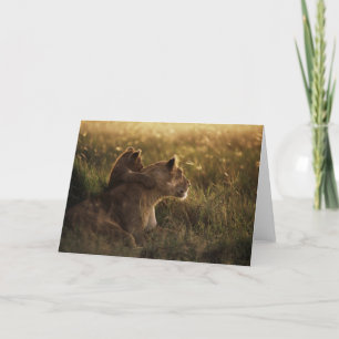 Lion & Cub-Wenskaart Kaart