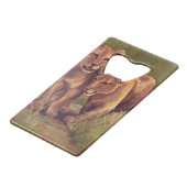 Lion Cubs (Dos Angle)