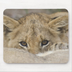 Lion Cub's Face Muismat