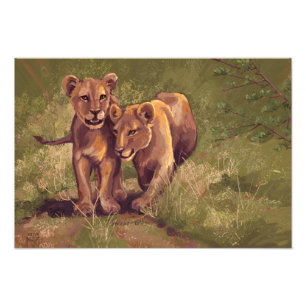 Lion Cubs Foto Afdruk
