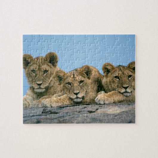 Lion Cubs Puzzle Legpuzzel (Horizontaal)
