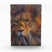 Lion dans le bloc photo de la galerie (Devant)