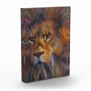 Lion dans le bloc photo de la galerie