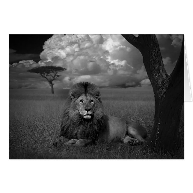 Lion dans l'herbe (Devant horizontal)