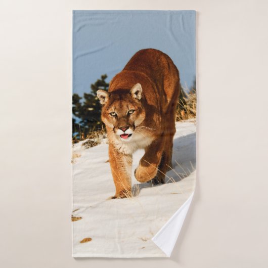 Lion de montagne sur une colline enneigée (Serviette de bain)