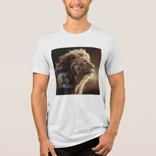 Lion de Sion sweat - shirt à capuche (Recto)