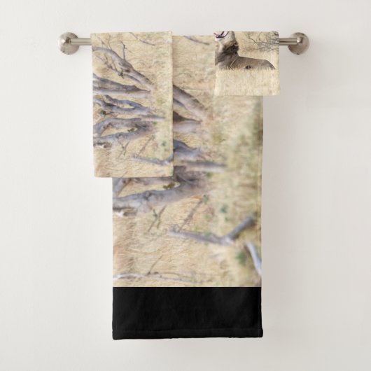 Lion de Yawning (En situation)