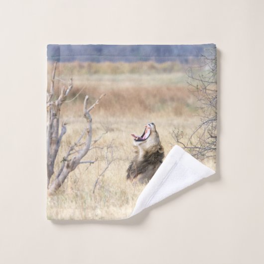 Lion de Yawning (Gant de toilette)