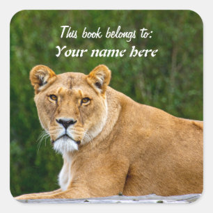 Lion "Dit boek behoort tot" Sticker