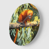 Lion d'or Tamarin observant, horloge murale (Angle)