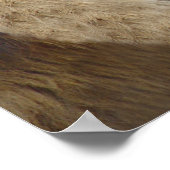 Lion Drôle Avec La Langue Sortie Poster Imprimer (Coin)