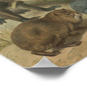 Lion- en dierenvrienden in Afrika Poster (Hoek)