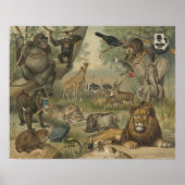 Lion- en dierenvrienden in Afrika Poster (Voorkant)