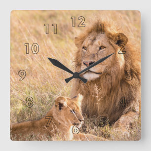 Lion en haar Cub Vierkante Klok