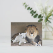 Lion en Lamb Briefkaart (Staand voorkant)