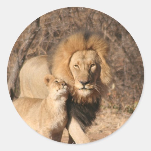 Lion en Lion Cub Sticker (Voorkant)