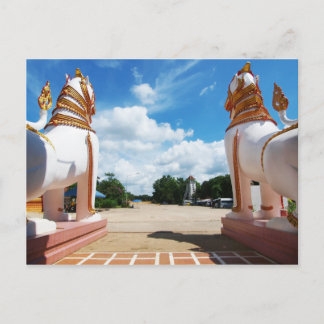 Lion Eye Uitzicht Briefkaart