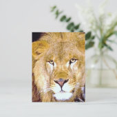 Lion Eyes Briefkaart (Staand voorkant)