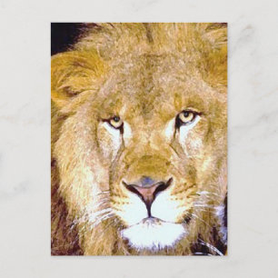 Lion Eyes Briefkaart