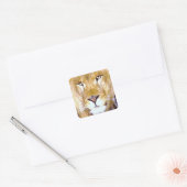 Lion Eyes Square Sticker (Envelop)