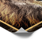 Lion Face Photo Image Print Poster (Coin)