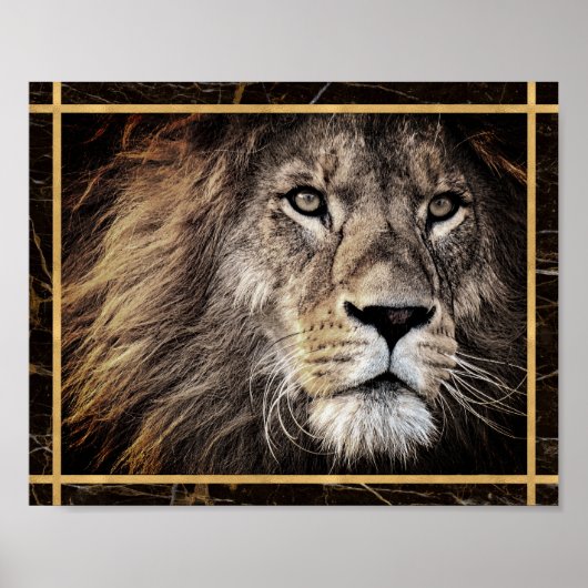 Lion Face Photo Image Print Poster (Devant)