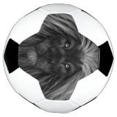 Lion Face Voetbal (Gedraaid)