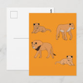 Lion Family Briefkaart (Voorkant / Achterkant)