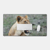 Lion femelle (Clavier et souris)