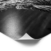 Lion Fish Foto Afdruk (Hoek)