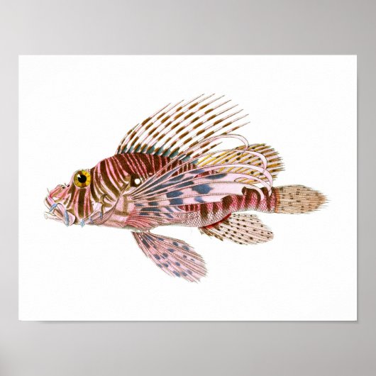 Lion Fish Print nr. 8 Beach House Decor Art (Voorkant)