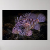 Lion Fish Wall Poster Custom Ocean Design (Voorkant)