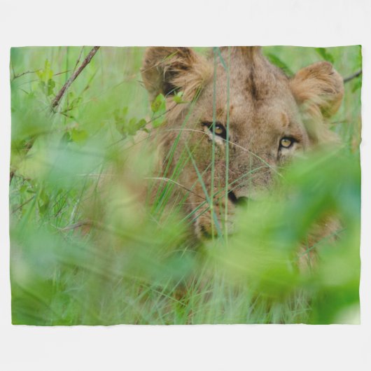 Lion Fleece Blanket (Voorkant (Horizontaal))