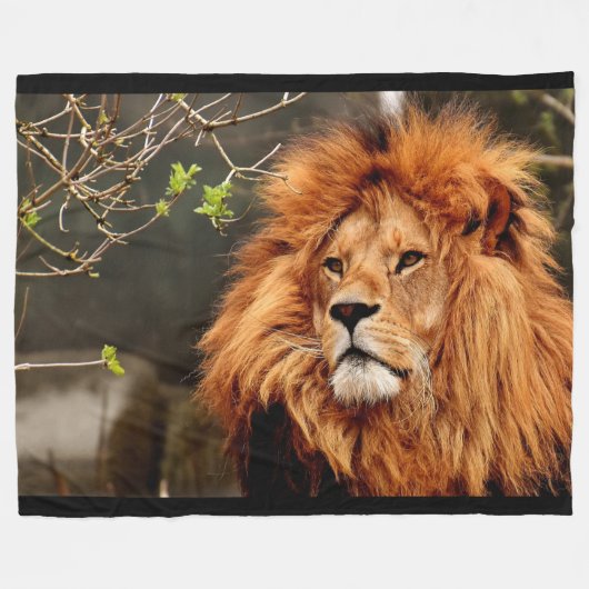 Lion Fleece Blanket (Voorkant (Horizontaal))