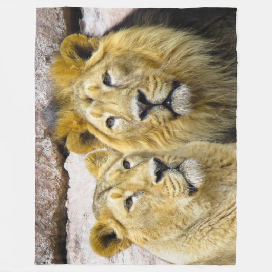 Lion Fleece Blanket (Voorkant)