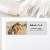 Lion foto aangepast Return Address Label (Insitu)
