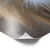 Lion Foto Afdruk (Hoek)