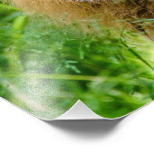 Lion Foto Afdruk (Hoek)