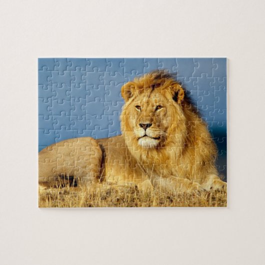 Lion Game Puzzle Legpuzzel (Horizontaal)