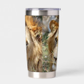 Lion Geïsoleerde Drinkbeker (Links)