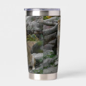 Lion Geïsoleerde Drinkbeker (Rechts)