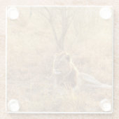 Lion Glazen Onderzetter (Achterkant)