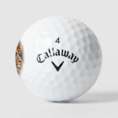 Lion Golfballen (Logo)
