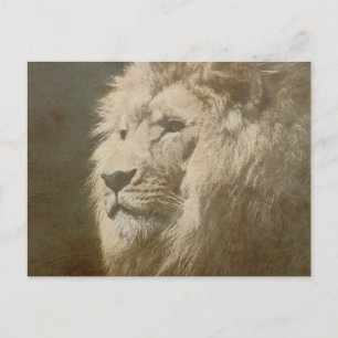 Lion Head the King Modern Pop Art Sjabloon Briefkaart