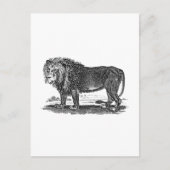 Lion Illustration - 1800's African Animal Briefkaart (Voorkant)