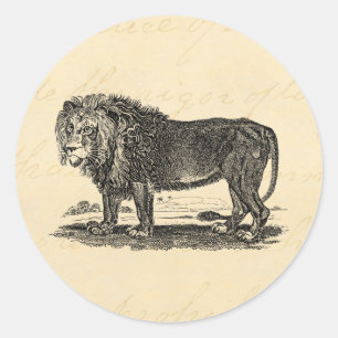 Lion Illustration - 1800's African Animal Ronde Sticker