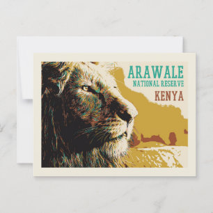 Lion in Arawale National Reserve (Kenia) Briefkaart